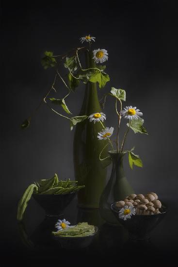 Daisy, Okra and Mushroom