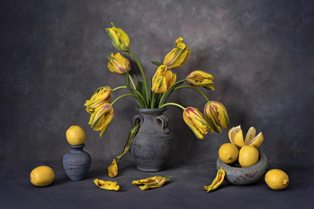 Yellow and Red Tulips von Lydia Jacobs