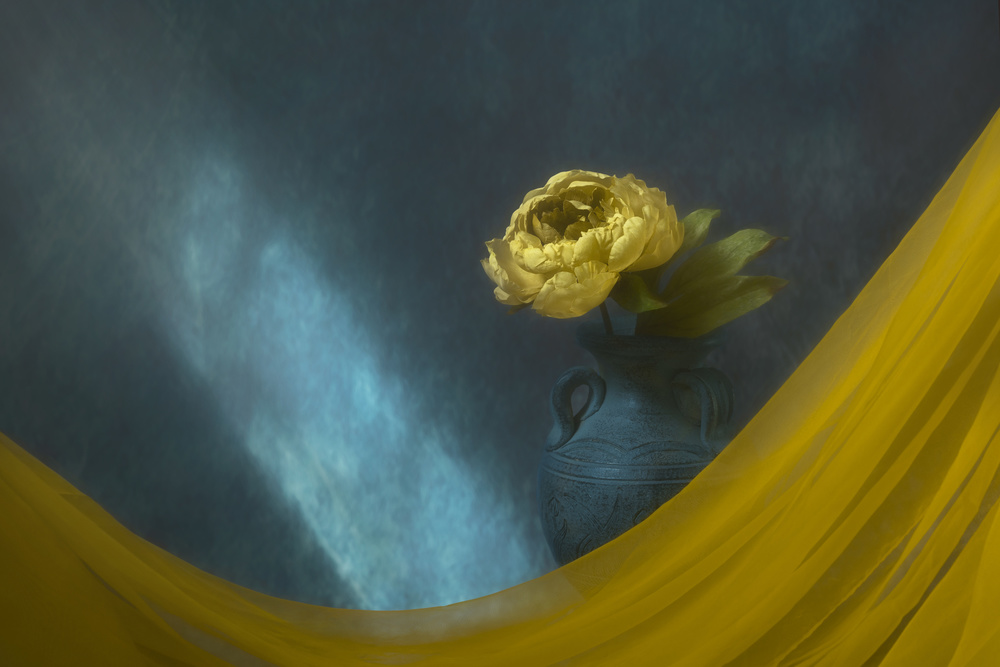 Bask in the Sun von Lydia Jacobs