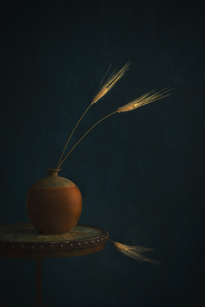 Golden Wheat von Lydia Jacobs