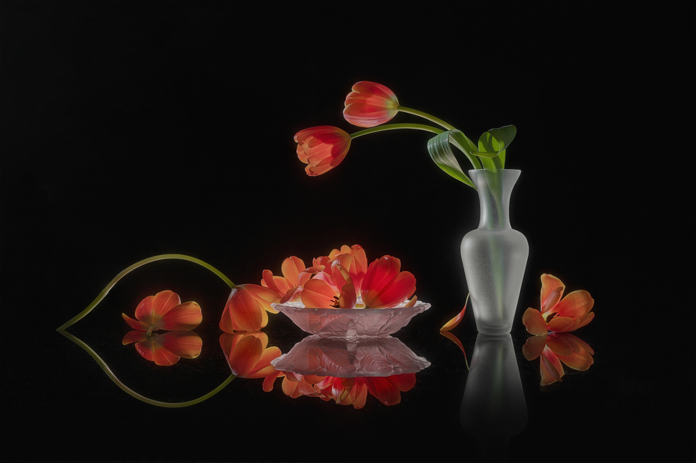 Bright Mood von Lydia Jacobs