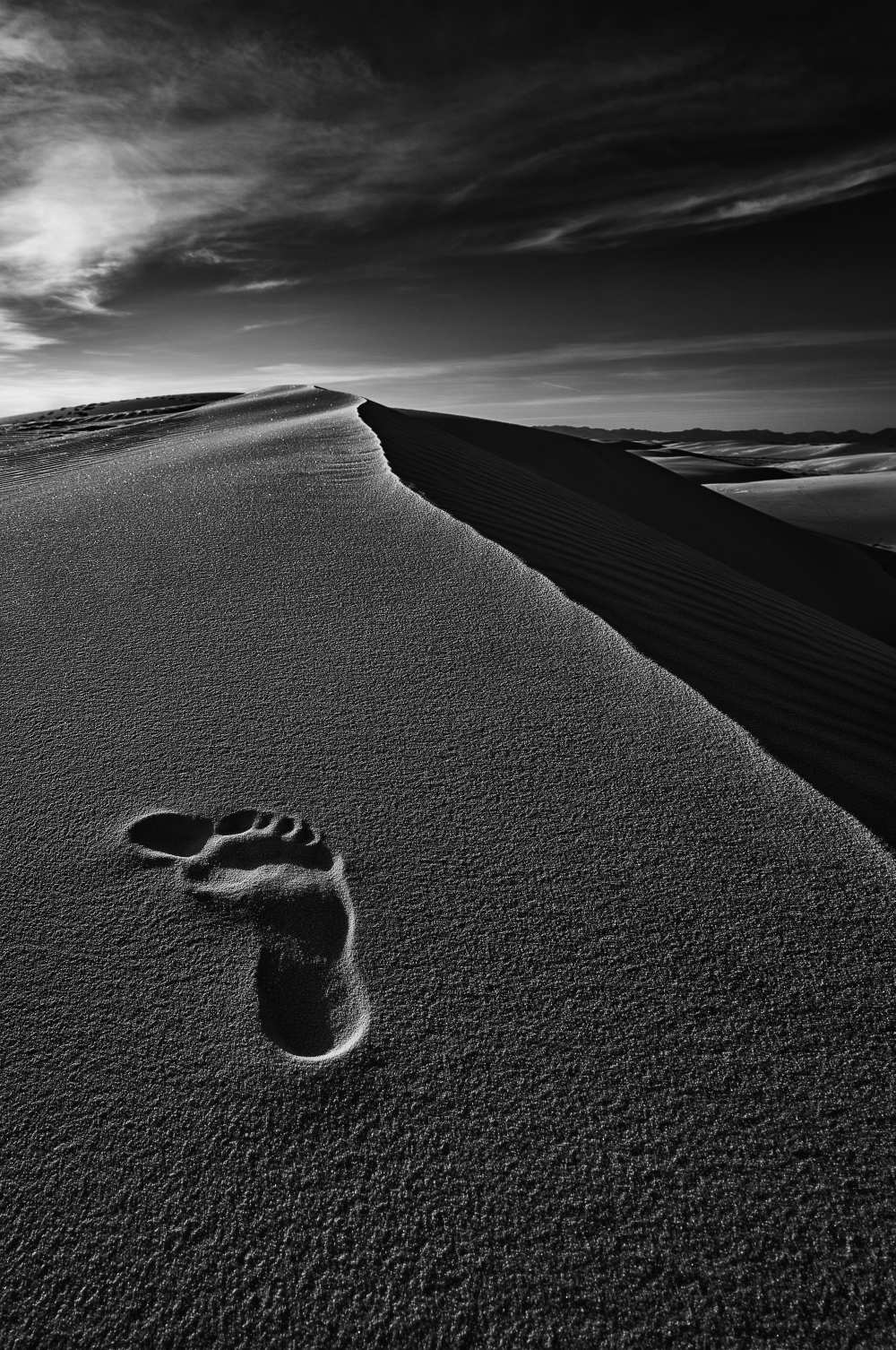 Here von Lydia Jacobs