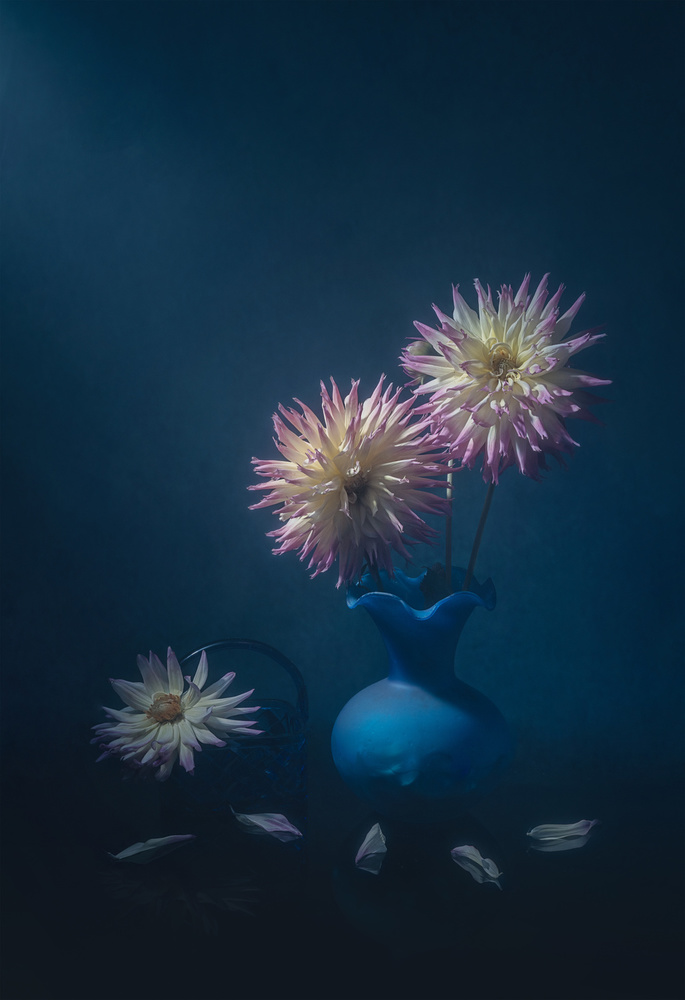 Pretty Dahlias von Lydia Jacobs