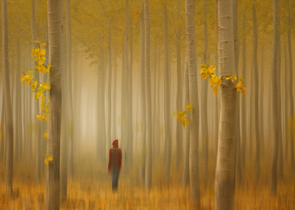 Lost in Autumn von Lydia Jacobs