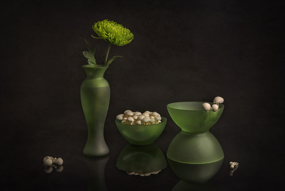 Little Mushroom von Lydia Jacobs