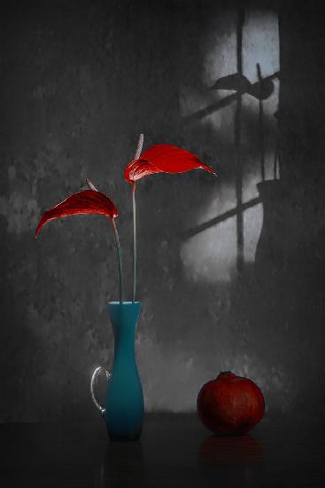 Last Light of the Day