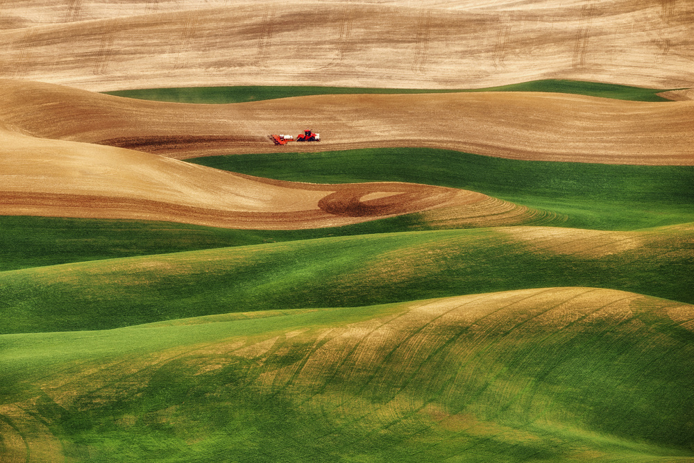 Painter of the Land von Lydia Jacobs