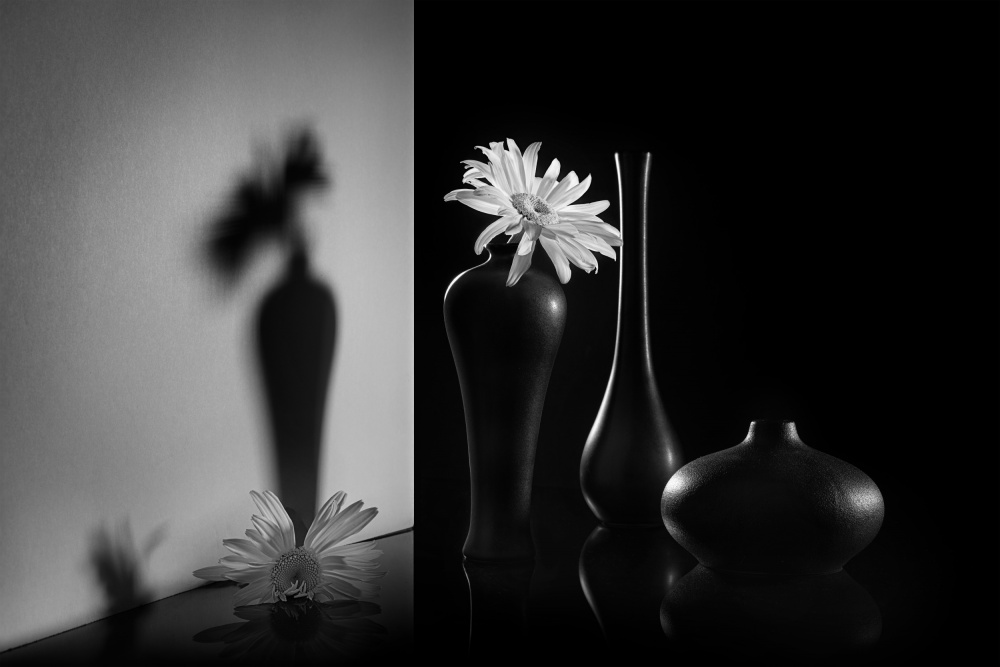 Talking to the shadow von Lydia Jacobs