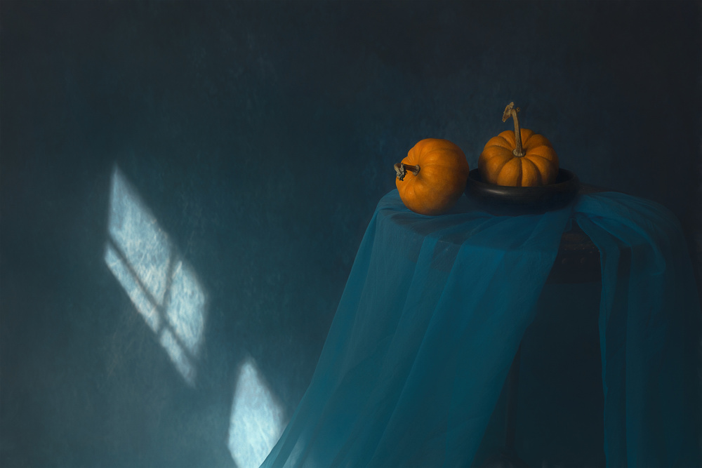 Morning Light von Lydia Jacobs