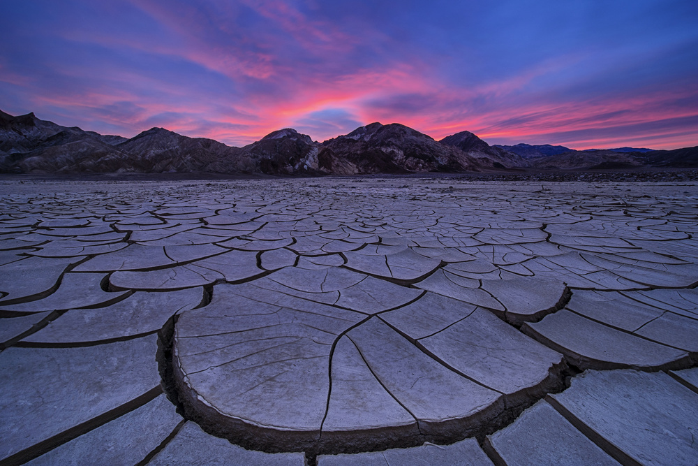 O.O. Blue Hour at Cracked Mud Field von Lydia Jacobs