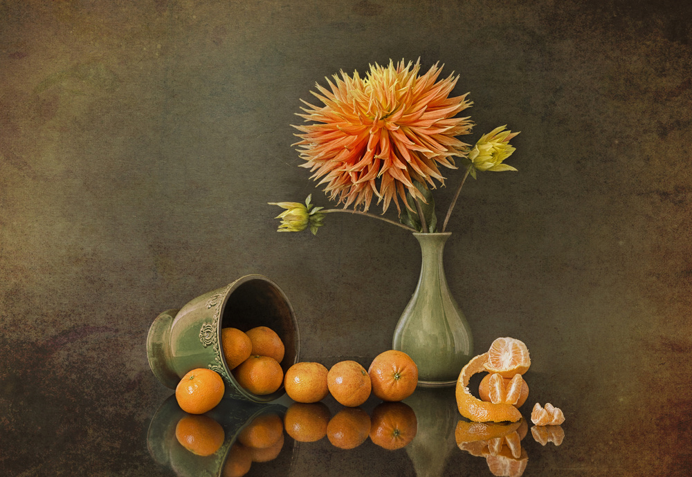 Oranges von Lydia Jacobs