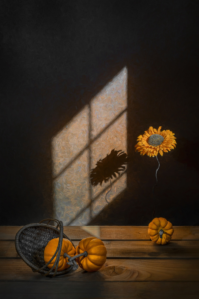 Orange Squash von Lydia Jacobs