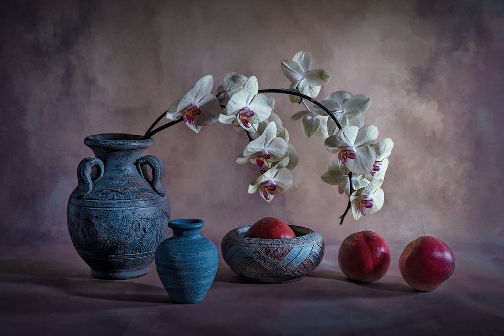 Orchid and Nectarine von Lydia Jacobs