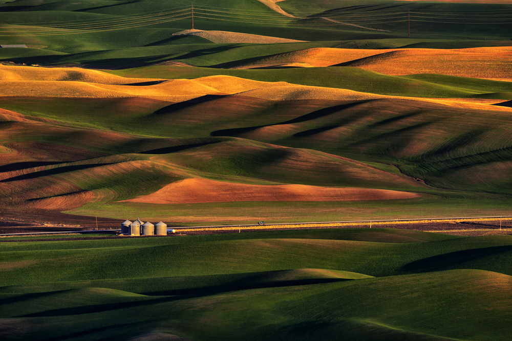 Palette von Lydia Jacobs