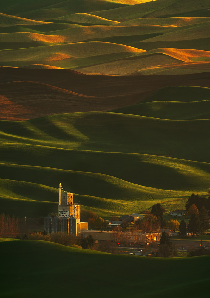 Palouse Rolling Hills von Lydia Jacobs