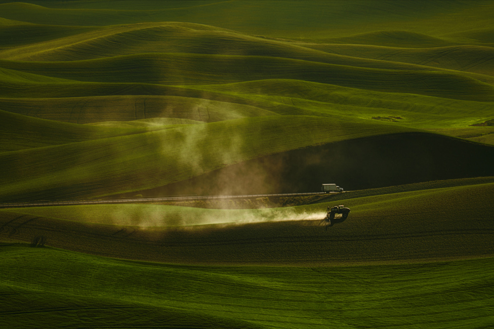 Racing von Lydia Jacobs