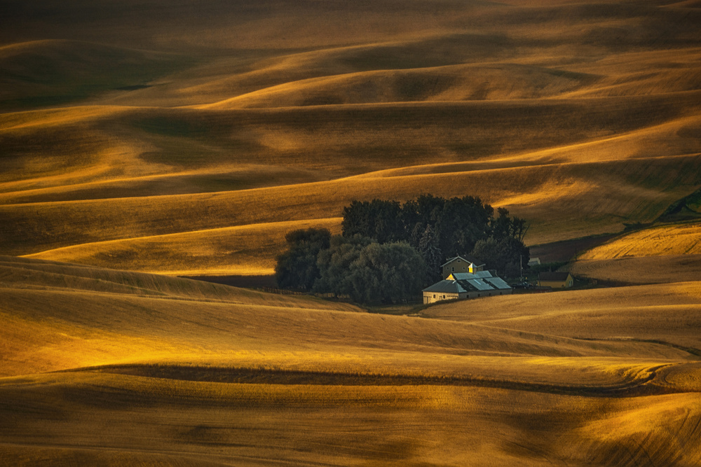 Rolling Gold von Lydia Jacobs