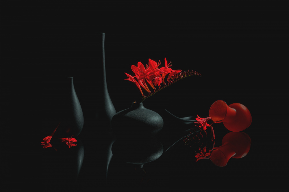 Red Charming Flower von Lydia Jacobs