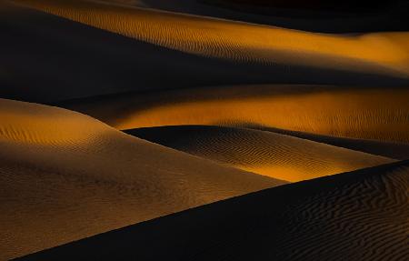 Sand Dune Waves
