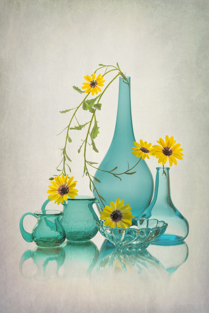 Summer Joy von Lydia Jacobs