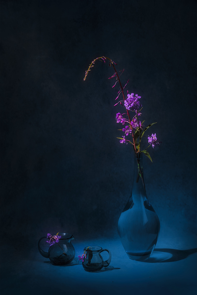 Summer purple flowers von Lydia Jacobs