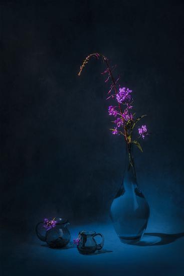 Summer purple flowers