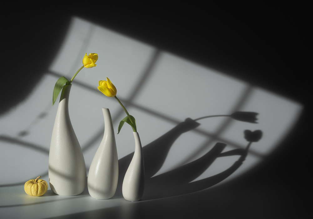 Sun and Shadow von Lydia Jacobs