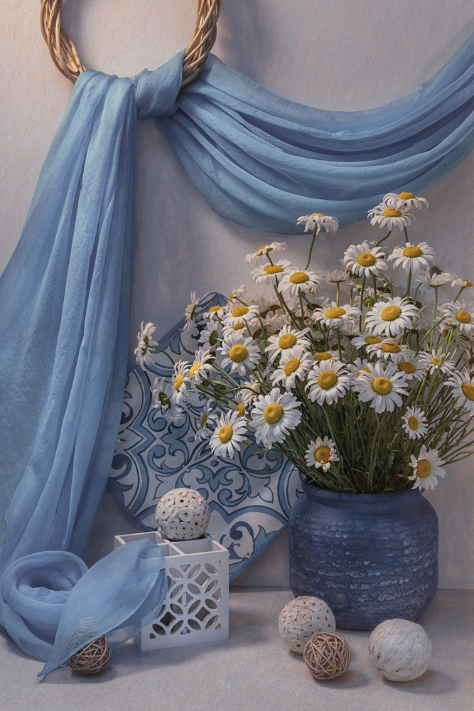 Still Life with Camomiles von Lydia Jacobs