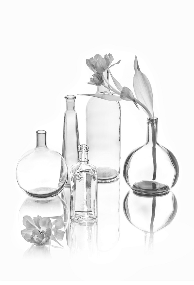 Translucence von Lydia Jacobs