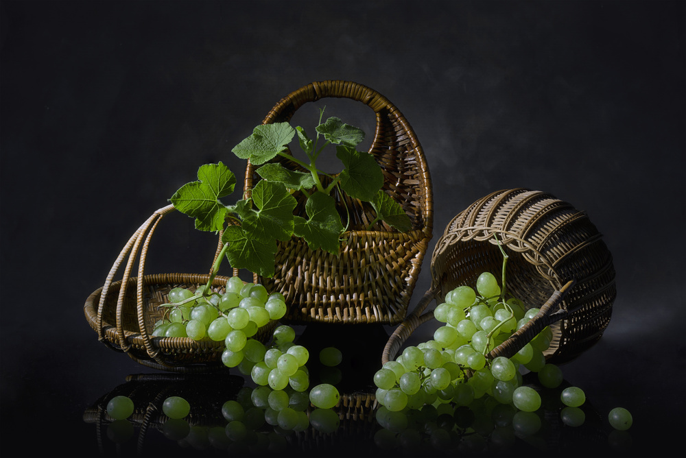 Grape Harvest von Lydia Jacobs