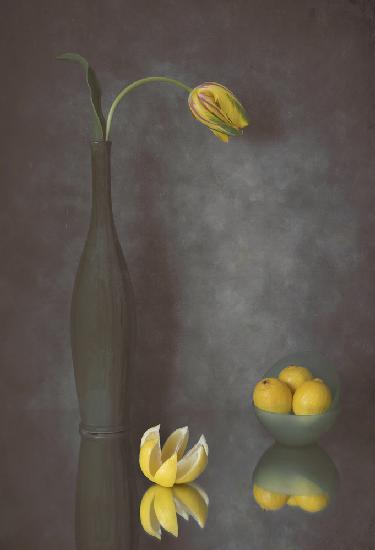 Tulip &amp; Lemons