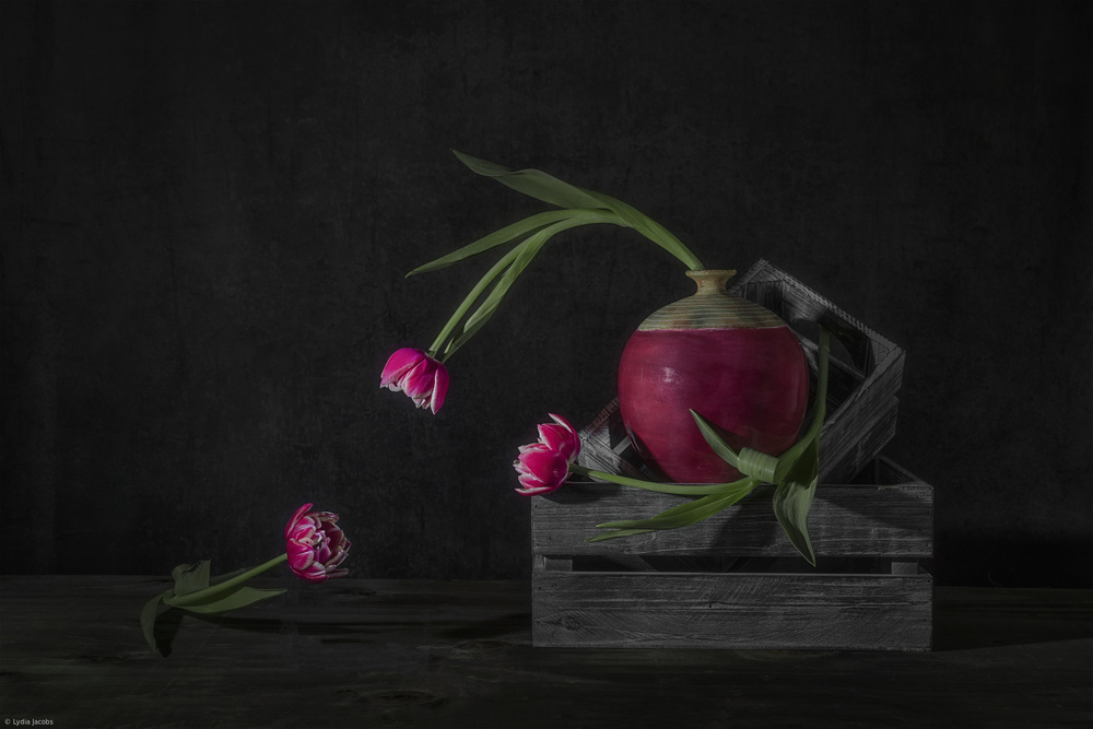Tulips Chitcha von Lydia Jacobs