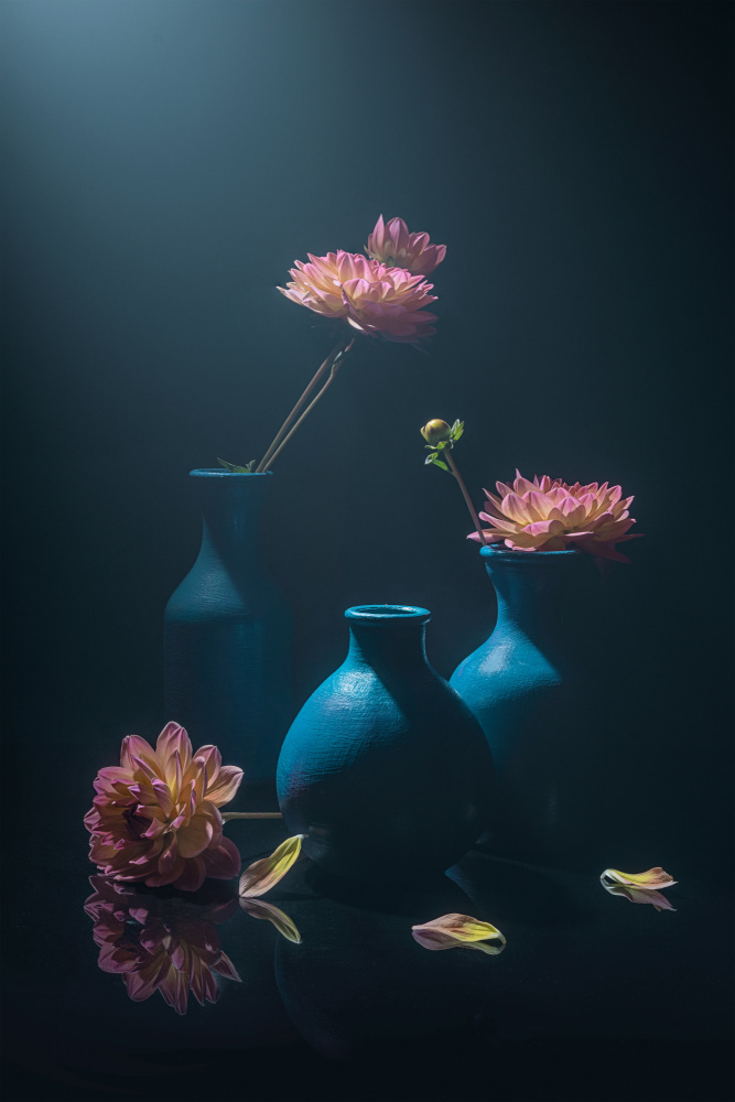 Dreamy von Lydia Jacobs