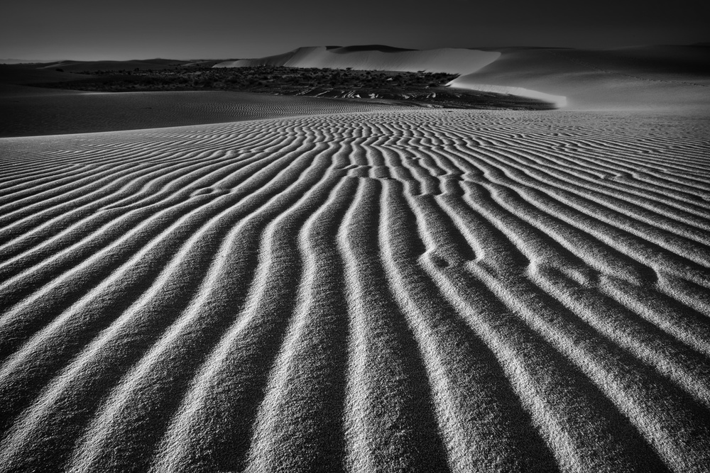 Wind Combed Sand von Lydia Jacobs
