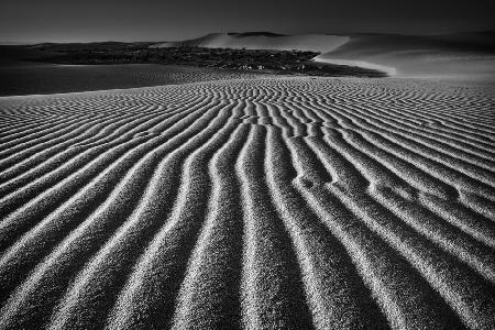 Wind Combed Sand