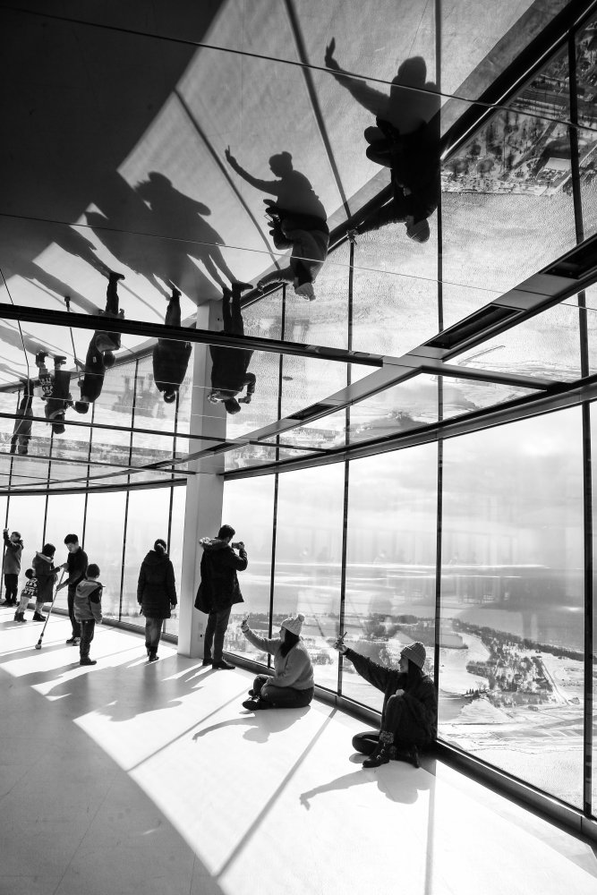 Whos Who von Lynn Adams