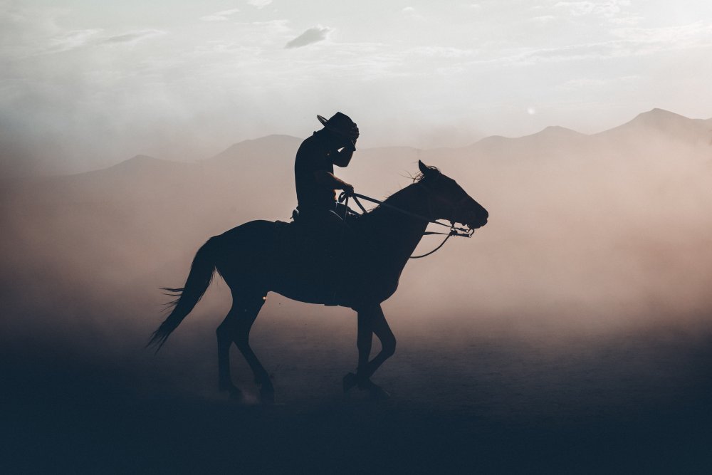 untitledl von M. Emre Erol