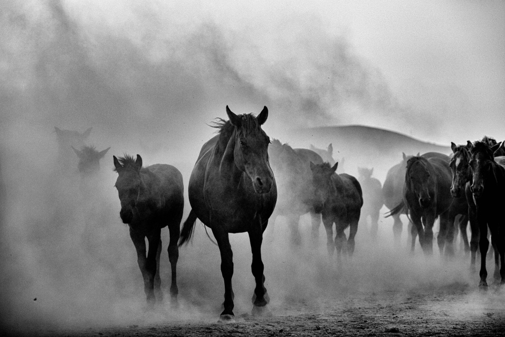 untitledl von M. Emre Erol