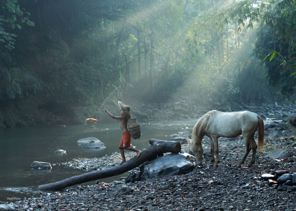 Fishing von Magdalena Fifi