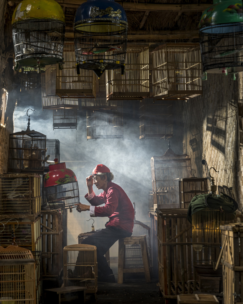 Bird Market von Magdalena Fifi