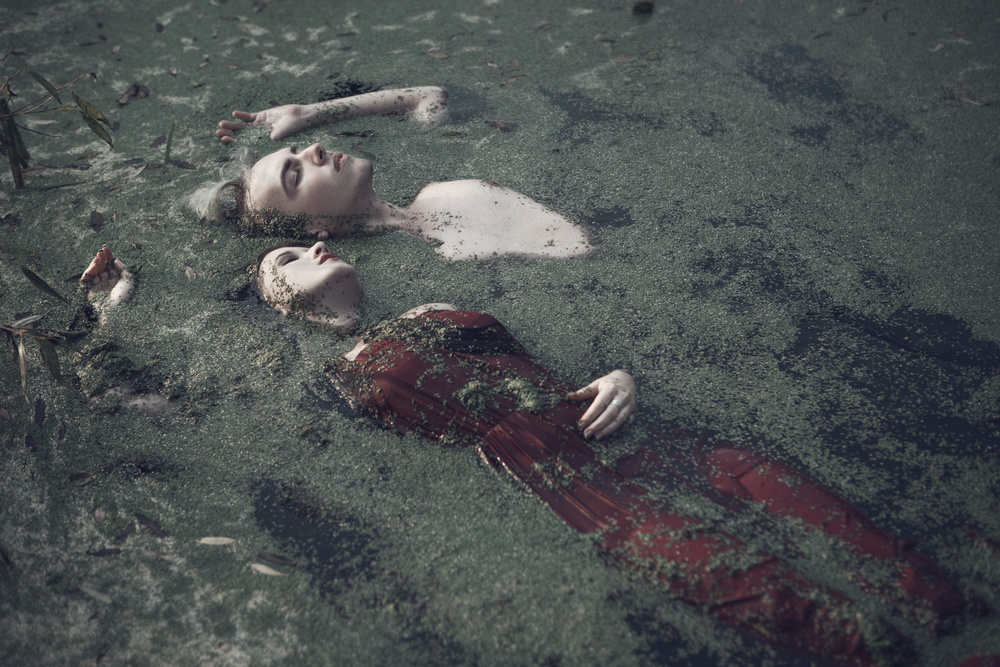 The River Bank von Magdalena Russocka