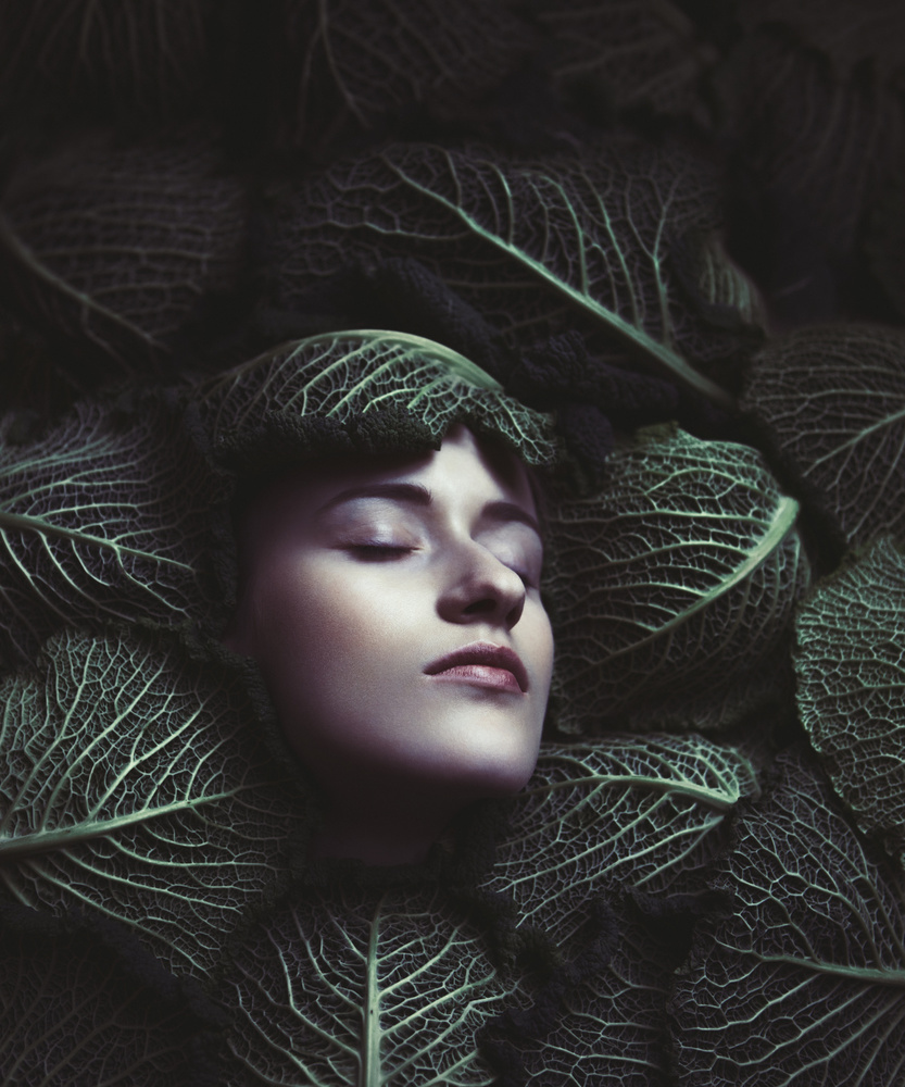 cabbage von Magdalena Russocka