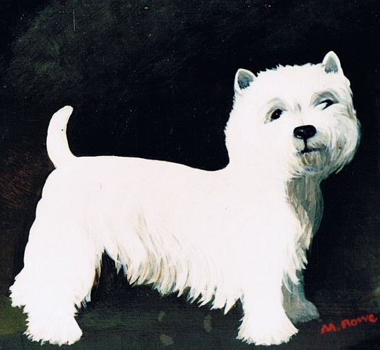 Westie von  Maggie  Rowe