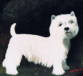 Westie