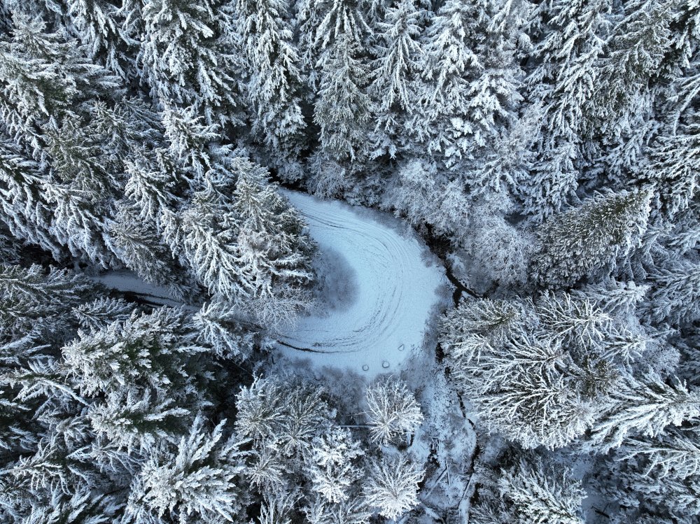 Snow on the way von Mahmoud Ardeshiri