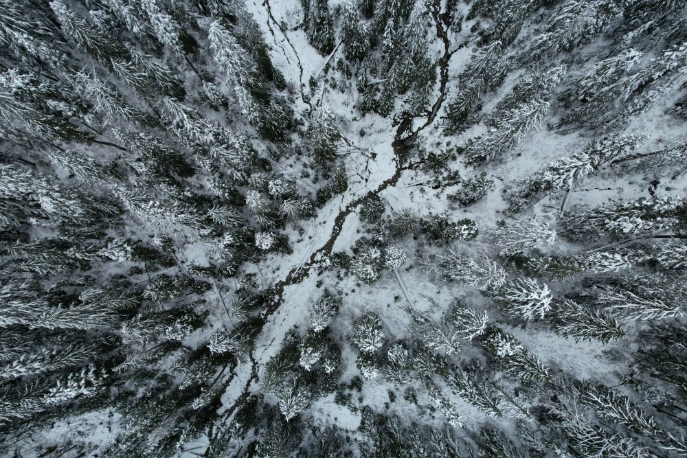 Vancouver first snow von Mahmoud Ardeshiri
