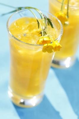 Frisch gepresster Orangensaft von Maja Schon