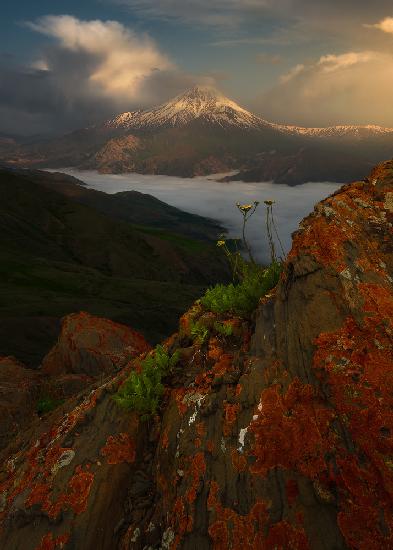 Spring Atmosphere in Mount Damavand