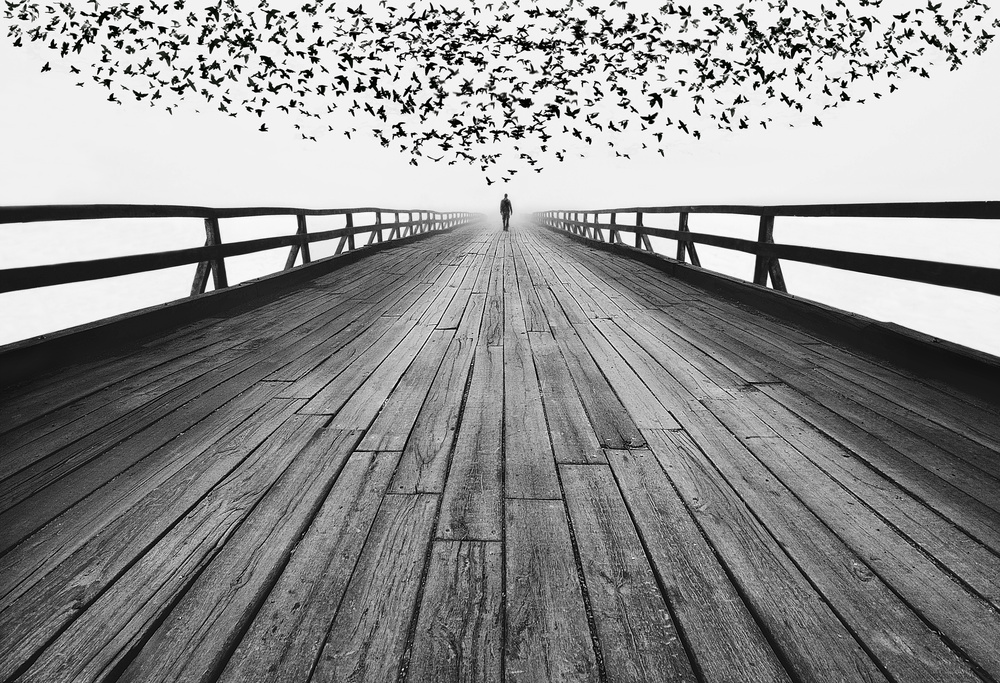 to the end von Mandru Cantemir