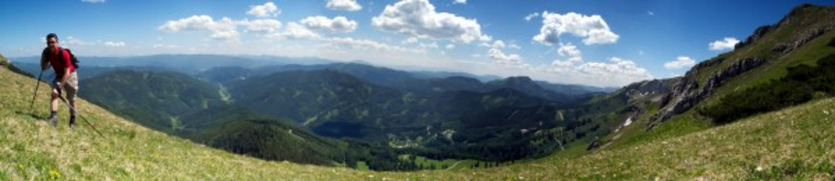 Der Wanderer von Manfred Weichselbaum